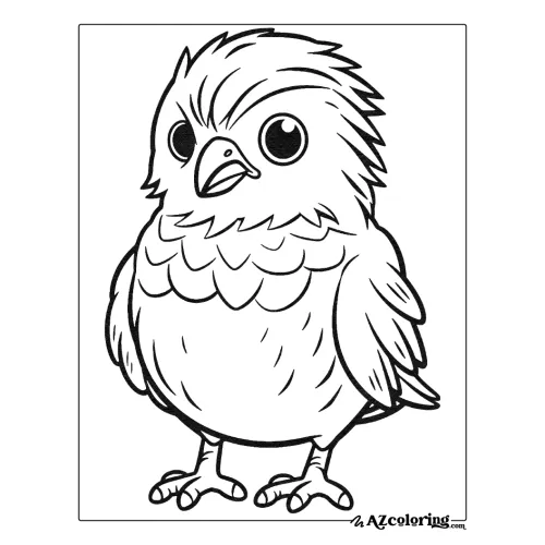 Cute Bird Coloring Page