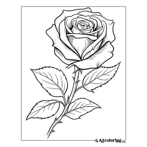 Detailed Rose Coloring Page