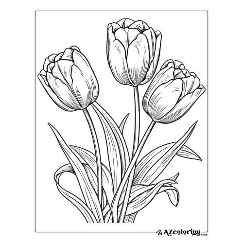 Elegant Tulips Coloring Page