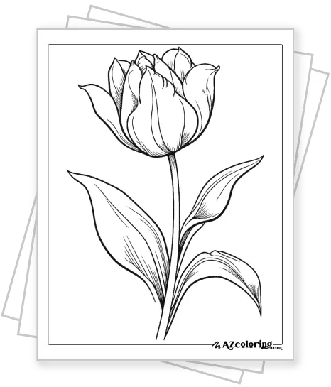 Flower Plants Coloring Pages