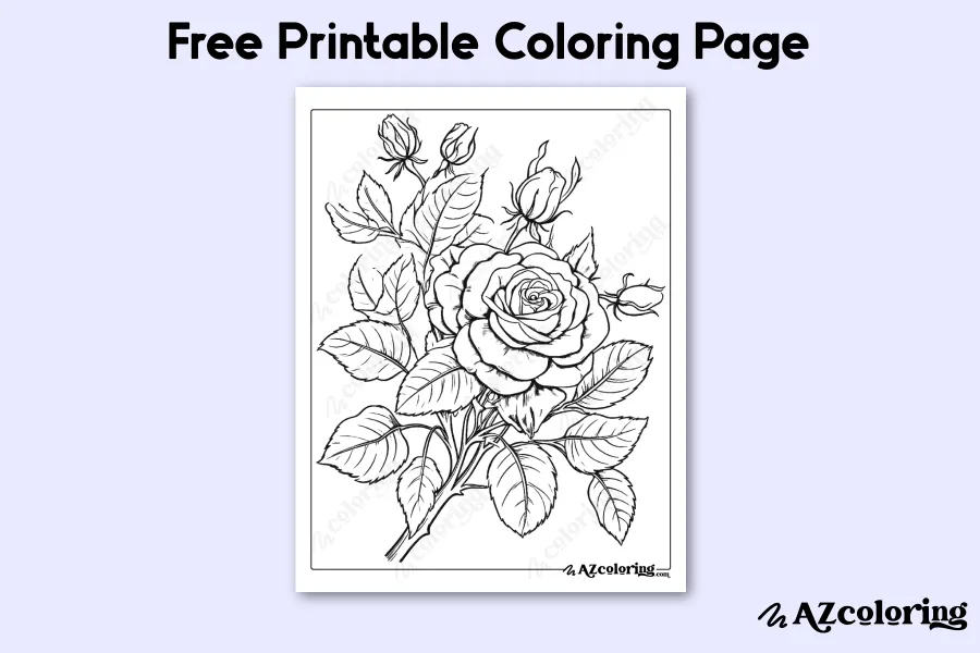 Intricate Rose and Buds Coloring Page for Relaxation