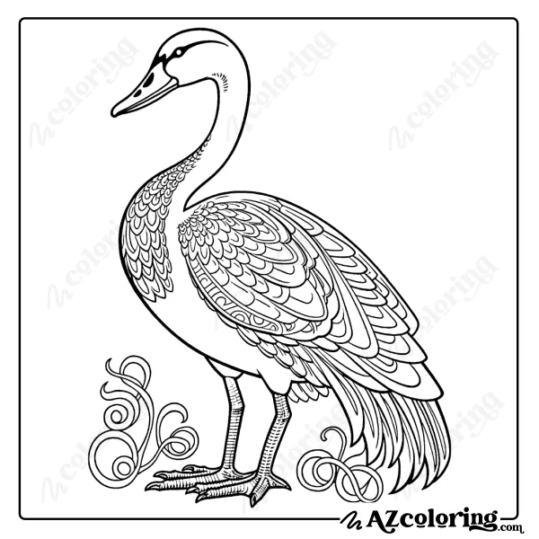 Elegant Bird Design Coloring Page