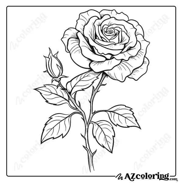 Detailed Rose Flower Coloring Page for Relaxation